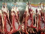 بازار گوشت قرمز دچار سرگیجه شد