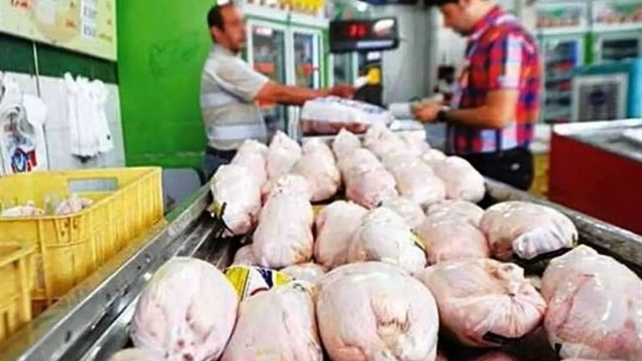 قیمت جدید مرغ در بازار / دوباره گرانی سراغ مرغ رفت !