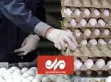 قیمت‌سازی بازار تخم مرغ ایران از لندن