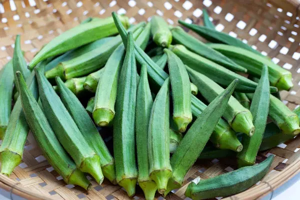 بامیه رو اگر برای خواصش می خوری؛ دیگه نخور!