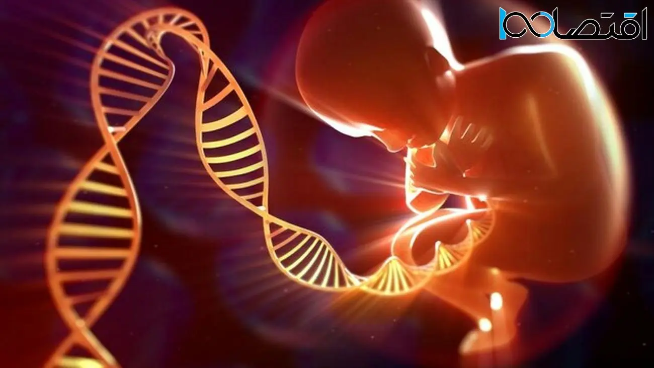 پدر یا مادر؛ کدام یک مسئول جهش‌های ژنتیکی فرزند هستند؟