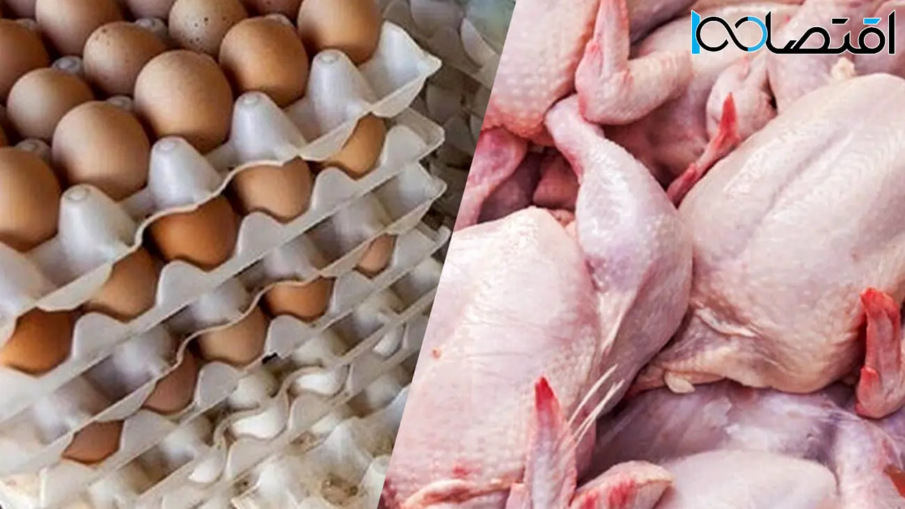 جدیدترین قیمت مرغ و تخم‌مرغ / هر شانه 30 عددی و هر کیلو مرغ چند؟!