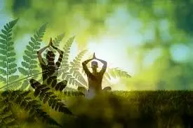 ‫کاغذ دیواری سه بعدی سالن ماساژ طرح زوج در حال مدیتیشن | SH-Q۳۸۱۹-A - ویکتوریا‬‎