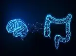 پیشرفت بزرگ دانشمندان در درک رابطه مغز و روده