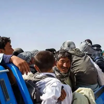 تأثیر اخراج افغان‌ها بر اقتصاد ایران و خالی شدن جیب مردم