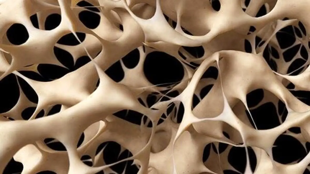داربست های نانویی برای مهندسی و احیای بافت استخوان تولید شد