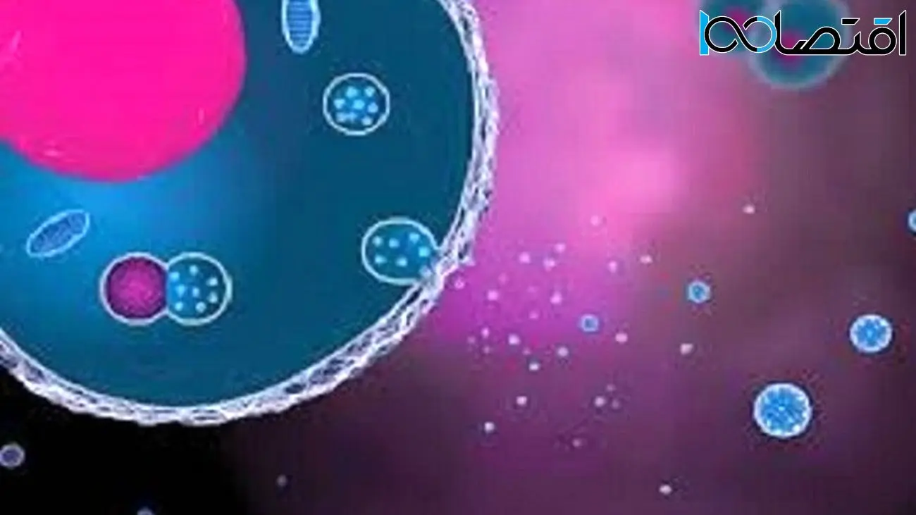وزیکول‌های خارج سلولی و سلول‌های خواستگاه آنان: رویکردی نوین در درمان بیماری‌های خودایمنی