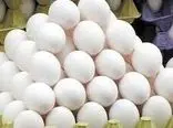  درخواست افزایش ۱۰ هزار تومانی قیمت تخم مرغ از دولت!