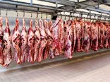 شوک جدید به مردم/قیمت گوشت قرمز دو برابر شد!
