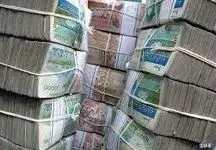پارکینگ جدید پول های بورسی!