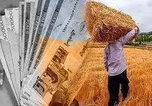 وعده دیگری برای گندمکاران / مطالبات کشاورزان تا این تاریخ پرداخت می‌شود!