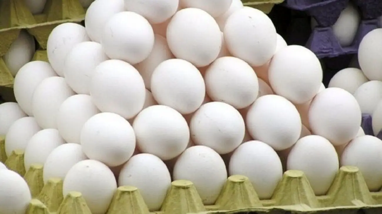 صف تخم مرغ های ایرانی پشت مرز